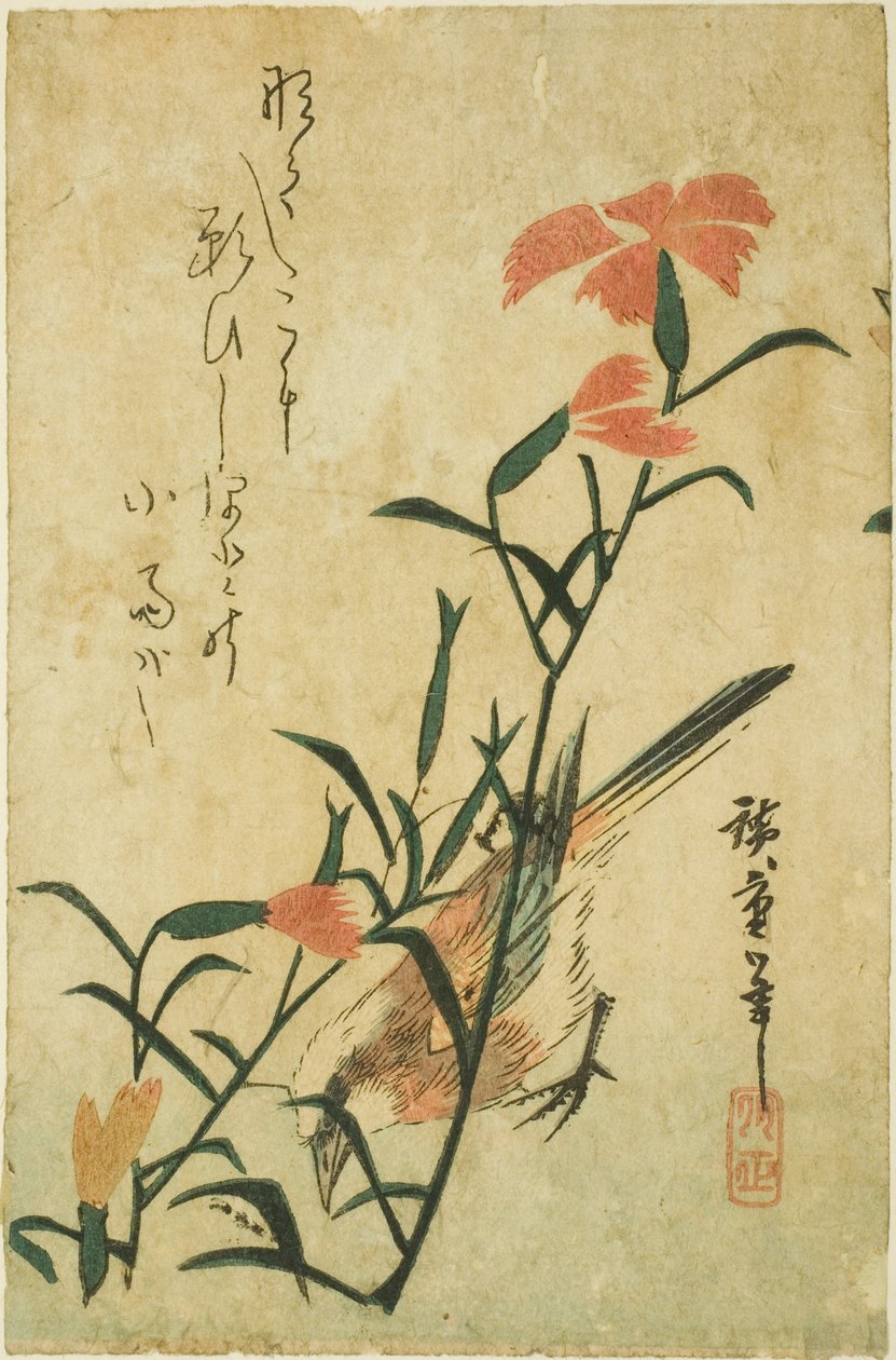 Fågel och vild nejlika av Utagawa Hiroshige