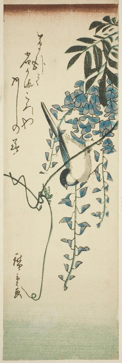 Fågel och blåregn av Utagawa Hiroshige