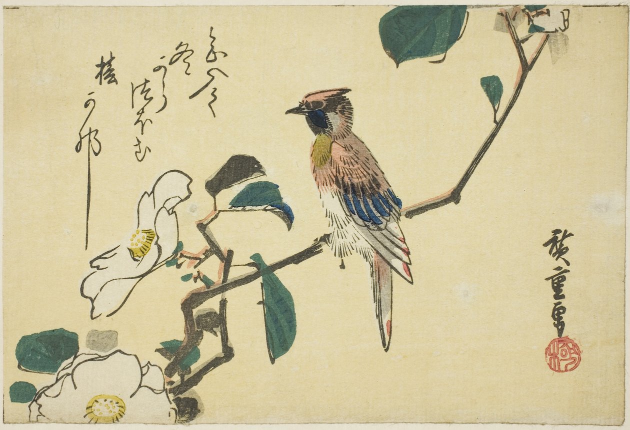 Svartnackad oriole på kameliagren av Utagawa Hiroshige