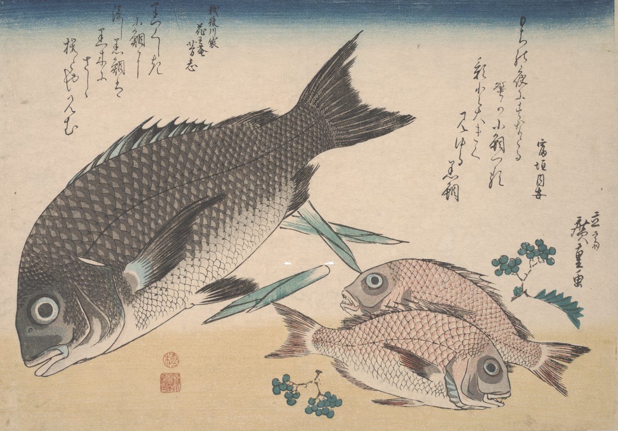 Svart havsruda, liten havsruda, sparrisskott och Sanshopeppar, ca 1830 av Utagawa Hiroshige