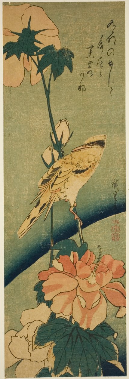 Svartnackad oriole på hibiskus av Utagawa Hiroshige