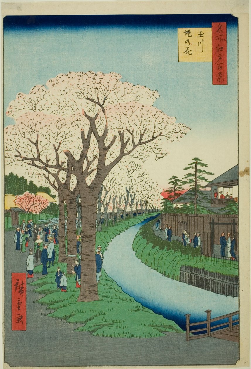 Bosso MS sound te tamari ver bildversion k yta t (Tamagawa Tsutsumi no Hana), från serien "Ridge d re d fa net view ws f Edo (One Hundred Famous Views of Edo) )" av Utagawa Hiroshige