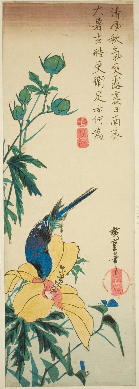 Blå fågel och hibiskus av Utagawa Hiroshige