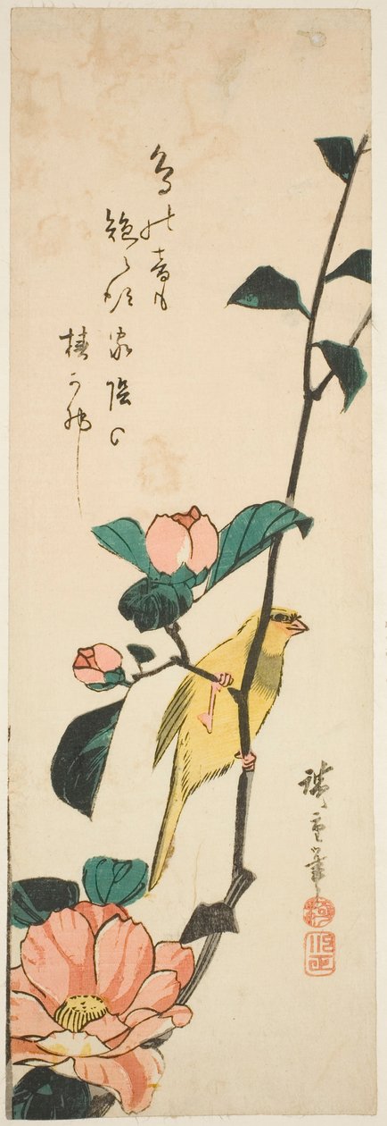 Kanarie och kamelia av Utagawa Hiroshige