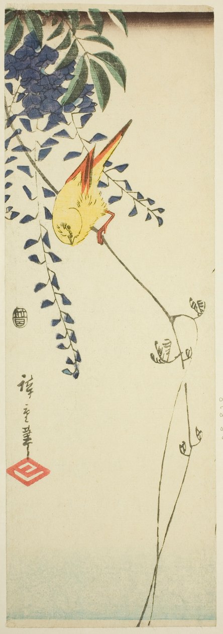 Kanarie och blåregn av Utagawa Hiroshige
