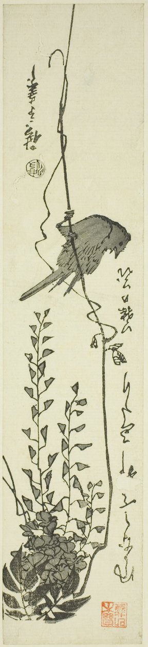 Kanarie och blåregn av Utagawa Hiroshige