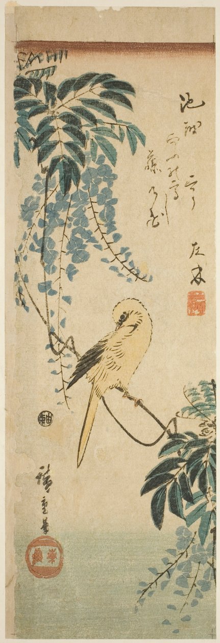 Kanarie och blåregn av Utagawa Hiroshige