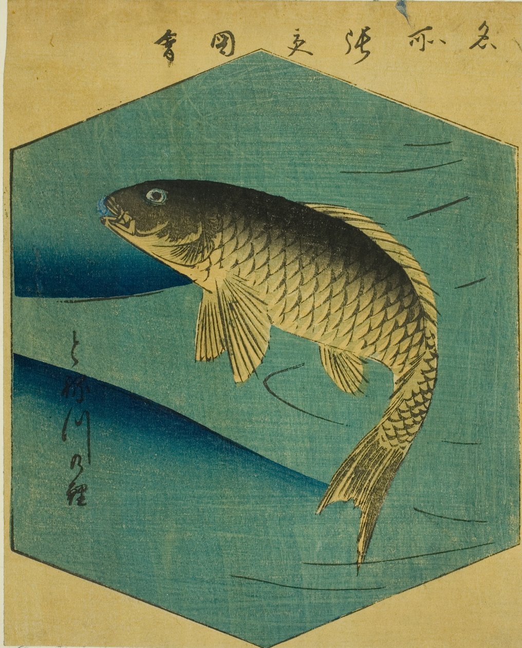 Carp in the Tone River (Tonegawa no koi), del av ett ark från serien "Utklippta bilder av berömda platser i Edo (Edo meisho harimaze zue)" av Utagawa Hiroshige