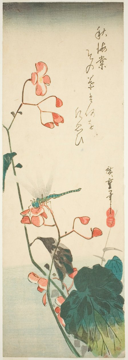 Slända och begonia av Utagawa Hiroshige