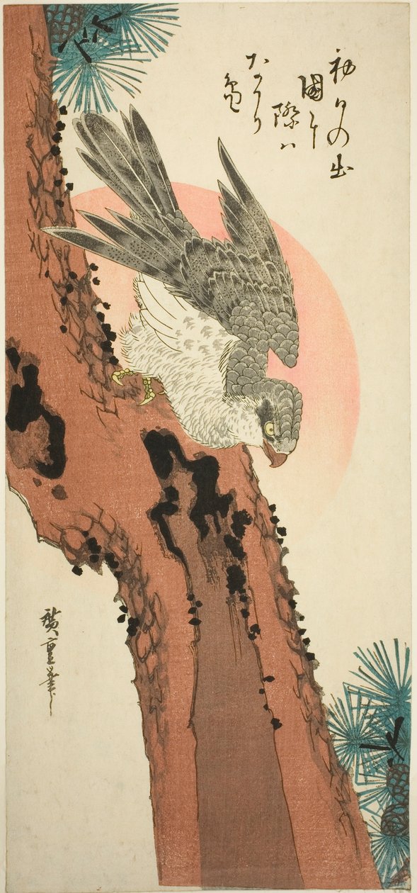 Falk på en tall med den uppgående solen av Utagawa Hiroshige