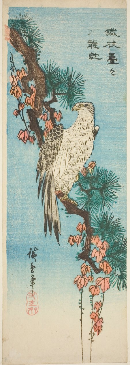 Falk på murgrönaklädd tallgren av Utagawa Hiroshige