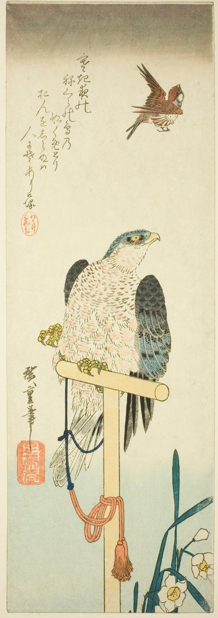 Falk, sparv och narcisser av Utagawa Hiroshige