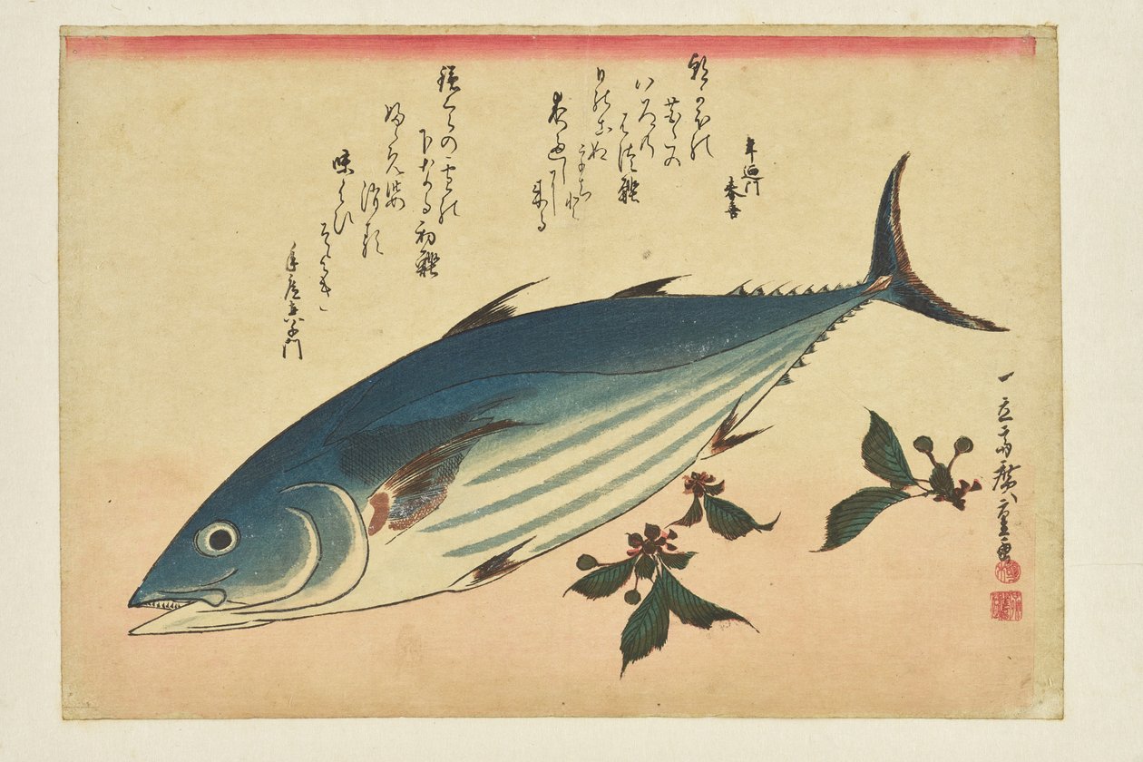Fisktryck: Bonito och körsbär ur serien ”En fiskstim” av Utagawa Hiroshige