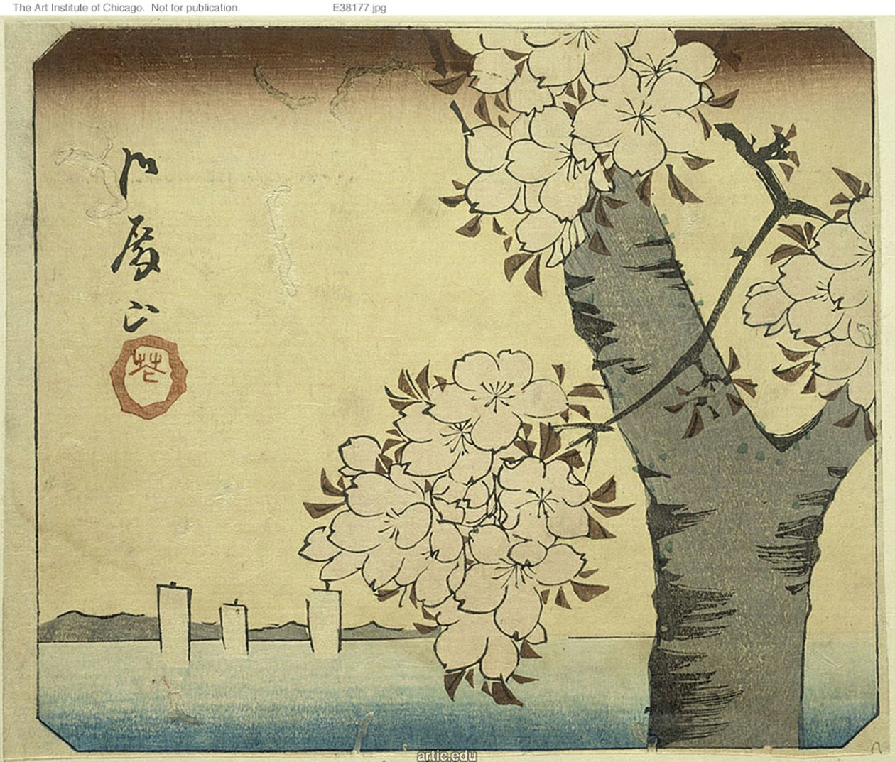 Blommor på Goten Hill (Gotenyama, hana), del av ett ark från serien "Utskärningar av kända platser i Edo (Harimaze Koto meisho)" av Utagawa Hiroshige