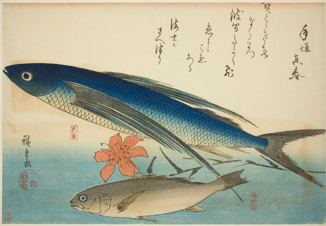 Flygfisk och Ichimochi, från en namnlös serie fiskar av Utagawa Hiroshige