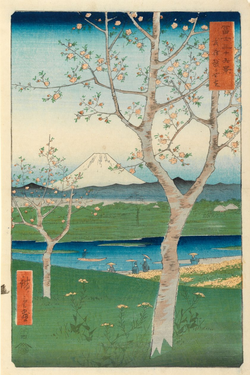 Fuji från Koshigaya, Mushashi, nr 14 från serien 