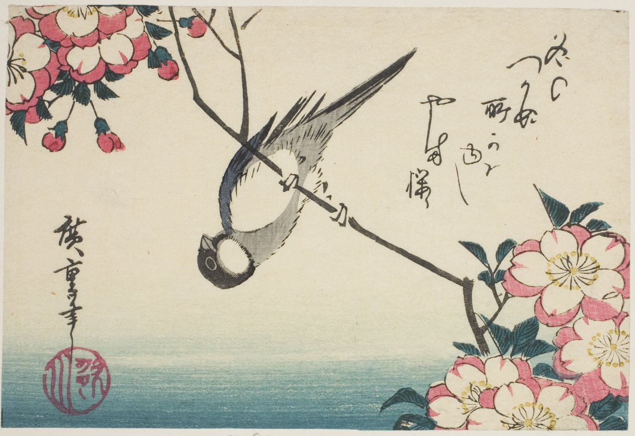 Talgoxe på körsbärsblomgren av Utagawa Hiroshige