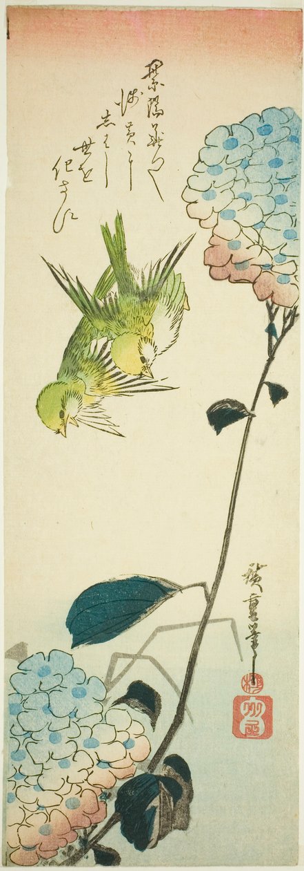 Gröna fåglar och hortensior av Utagawa Hiroshige