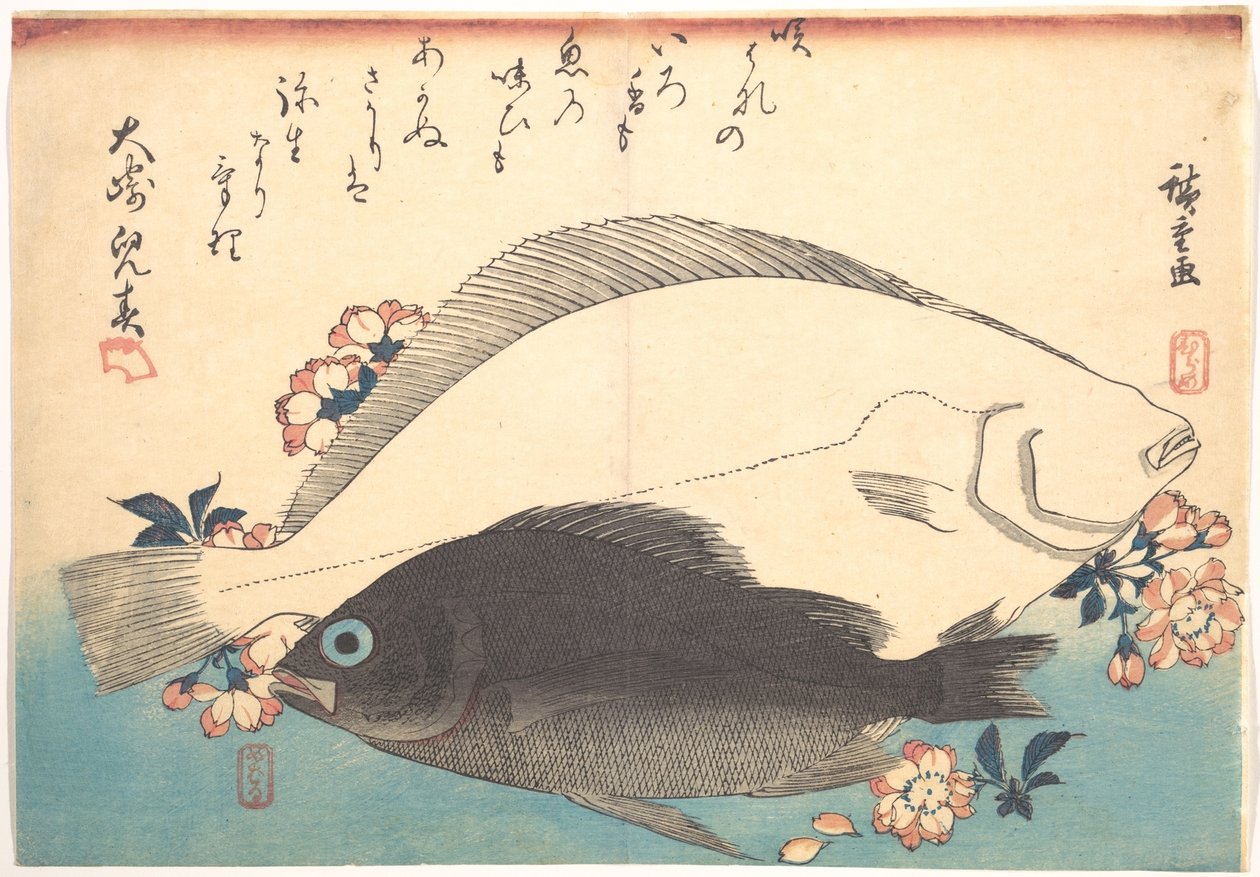 Hirame- och mebaru-fiskar med körsbärsblommor, ur serien Uozukushi - Alla sorters fisk av Utagawa Hiroshige