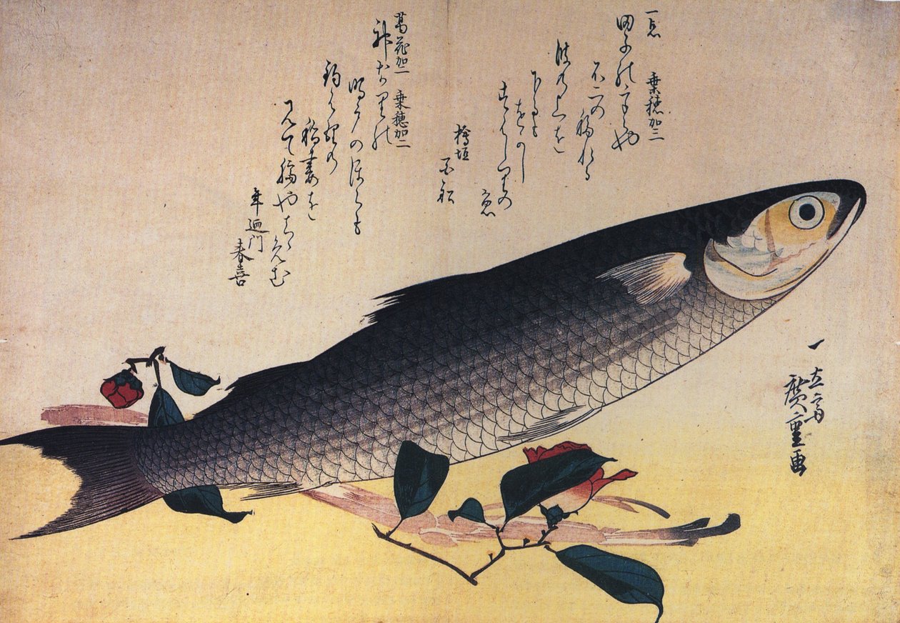 Hiroshige Grå multe och kamelia av Utagawa Hiroshige
