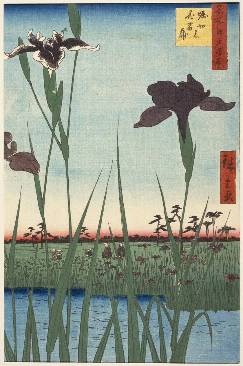 Horikiri Iris Garden (Horikiri no hanshōbu), från serien One Hundred Famous Views of Edo (Meisho Edo hyakkei) av Utagawa Hiroshige