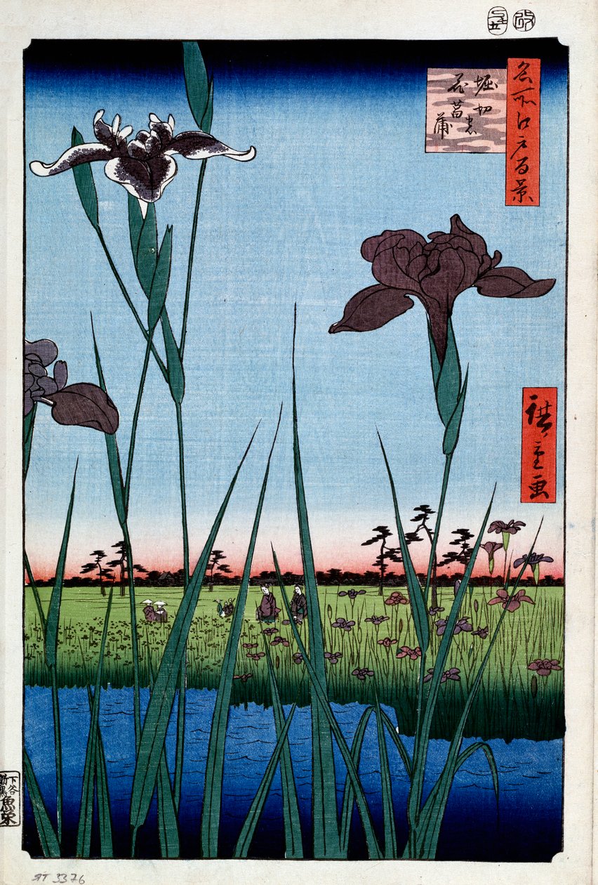 Iris vid Horikiri Hundra berömda vyer av Edo, 1856-1858. av Utagawa Hiroshige