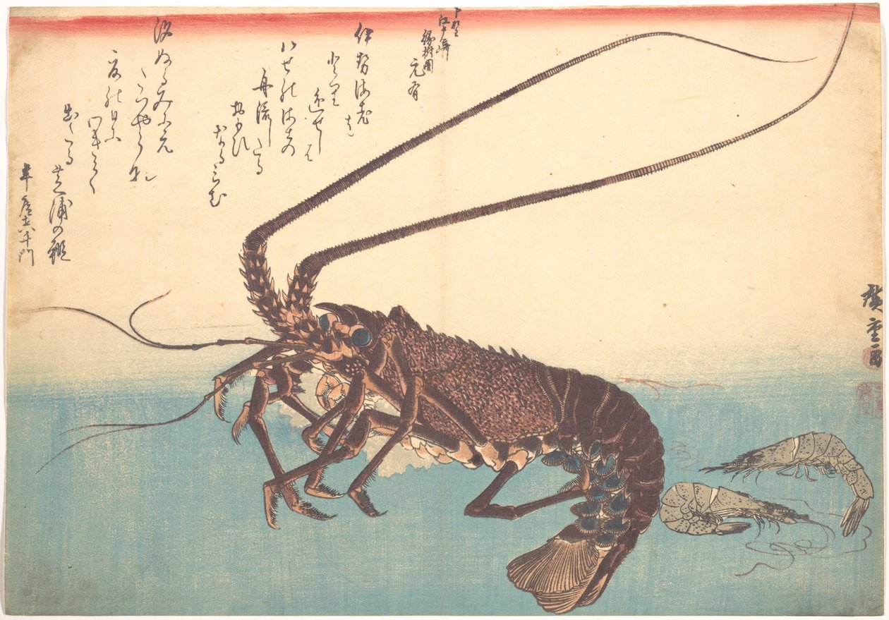 Ise-ebi och Shiba-ebi, ur serien Uozukushi (Alla sorters fisk) av Utagawa Hiroshige