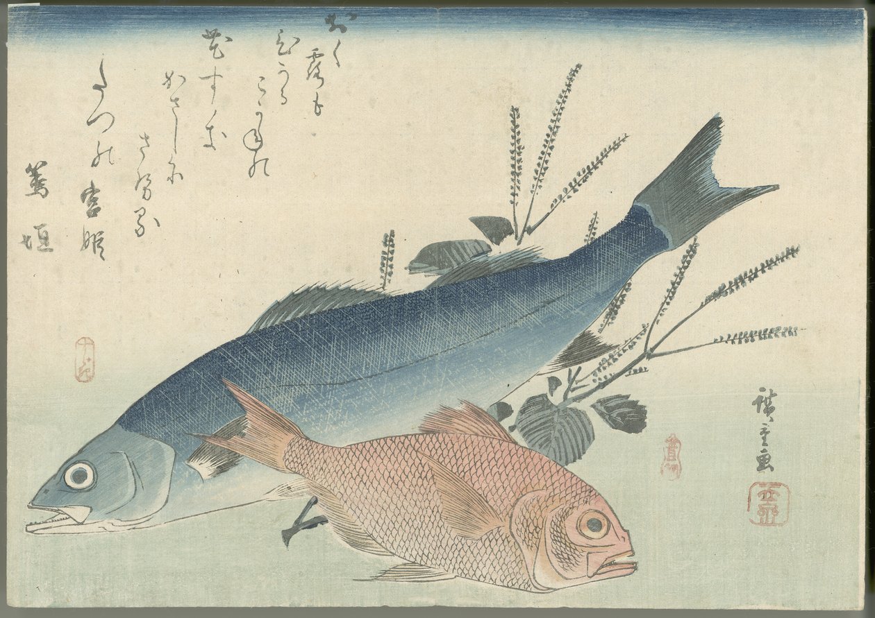 Japansk havsabborre, guldögd havsruda och shiso-växt av Utagawa Hiroshige