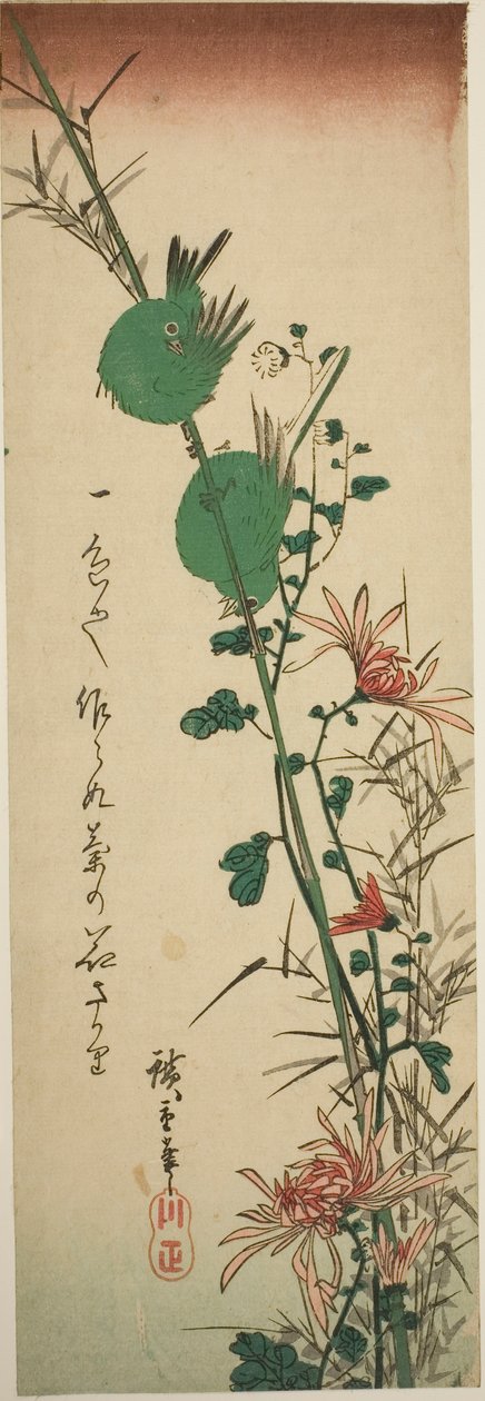 Japanska vita ögon och krysantemum av Utagawa Hiroshige