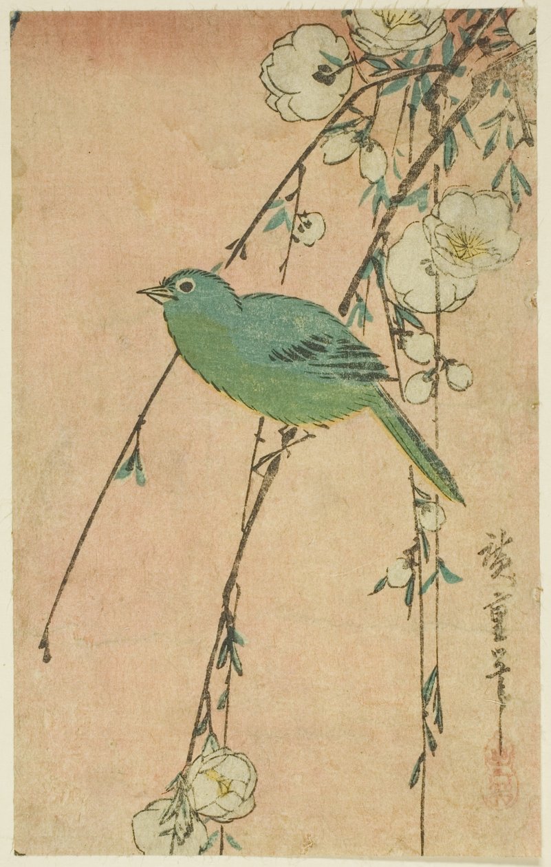 Japanska vita ögon och gråtande körsbär av Utagawa Hiroshige