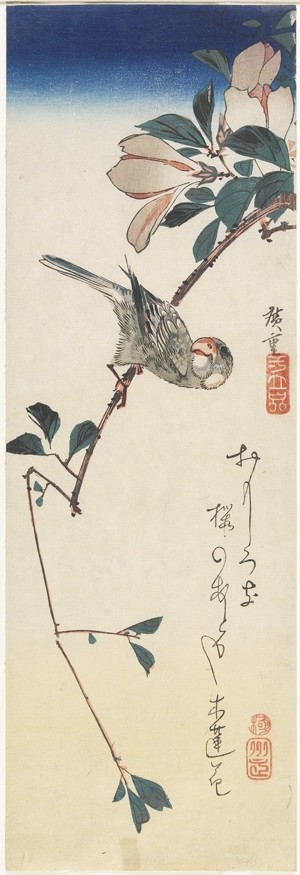 Java sparv och magnolia, 1834-1839 av Utagawa Hiroshige