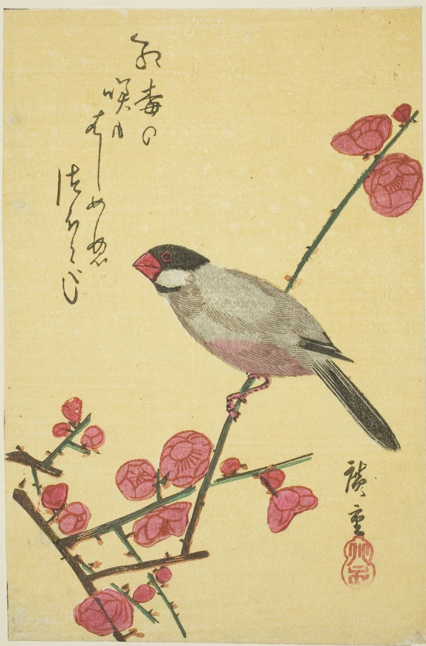 Javasparv på plommongren av Utagawa Hiroshige