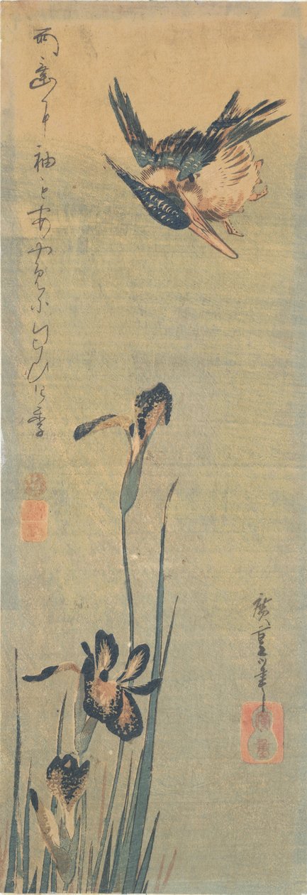 Kingfisher flyger över en Iris av Utagawa Hiroshige