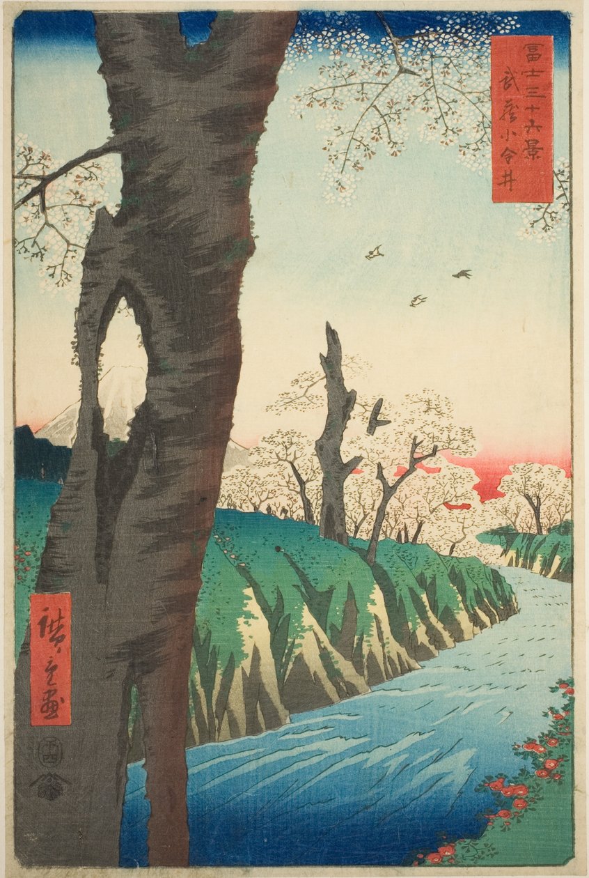 Koganei i Musashi-provinsen (Musashi Koganei), från serien "Trettiosex utsikter över berget Fuji (Fuji sanjurokkei)" av Utagawa Hiroshige