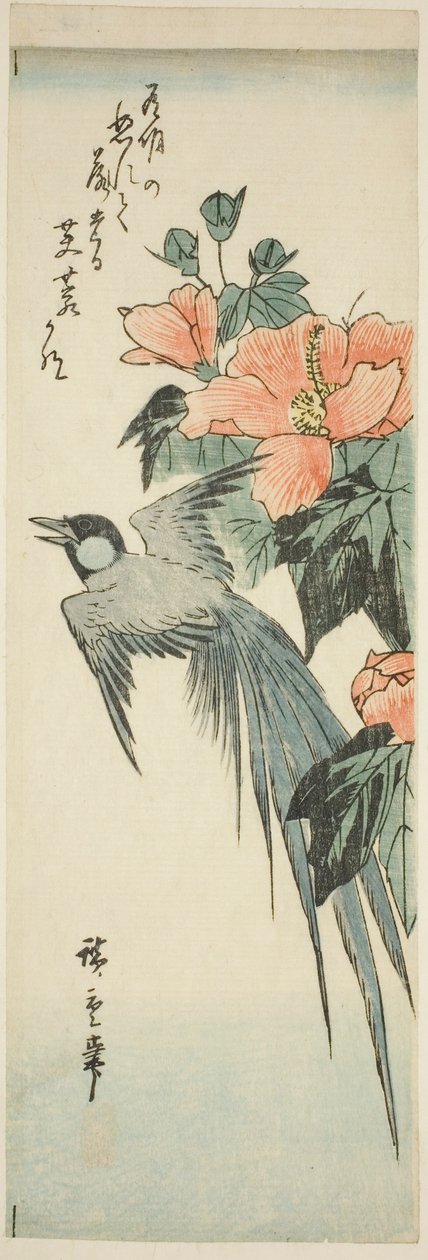 Långsvansfågel och hibiskus av Utagawa Hiroshige