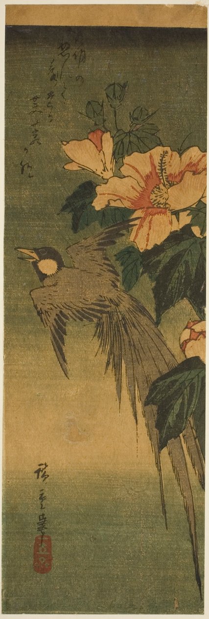 Långsvansfågel och hibiskus av Utagawa Hiroshige