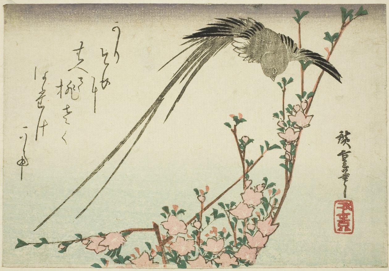 Långsvansad fågel och persikablommor av Utagawa Hiroshige