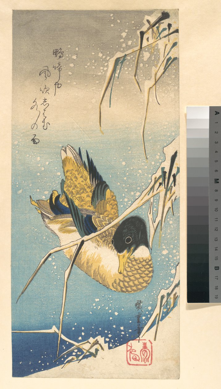 Stockente und schneebedeckte Schilfrohre av Utagawa Hiroshige