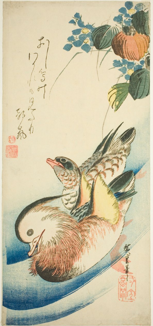 Mandarin ankor av Utagawa Hiroshige