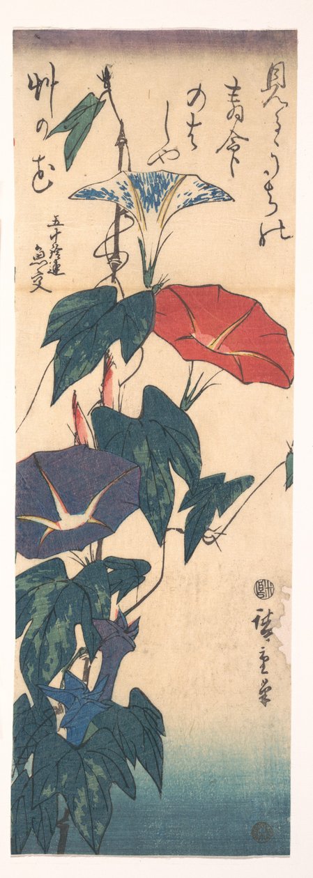 Prunkwinden av Utagawa Hiroshige