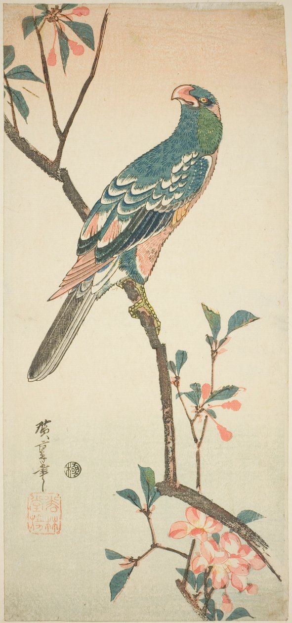 Papegoja på en blommande gren av Utagawa Hiroshige