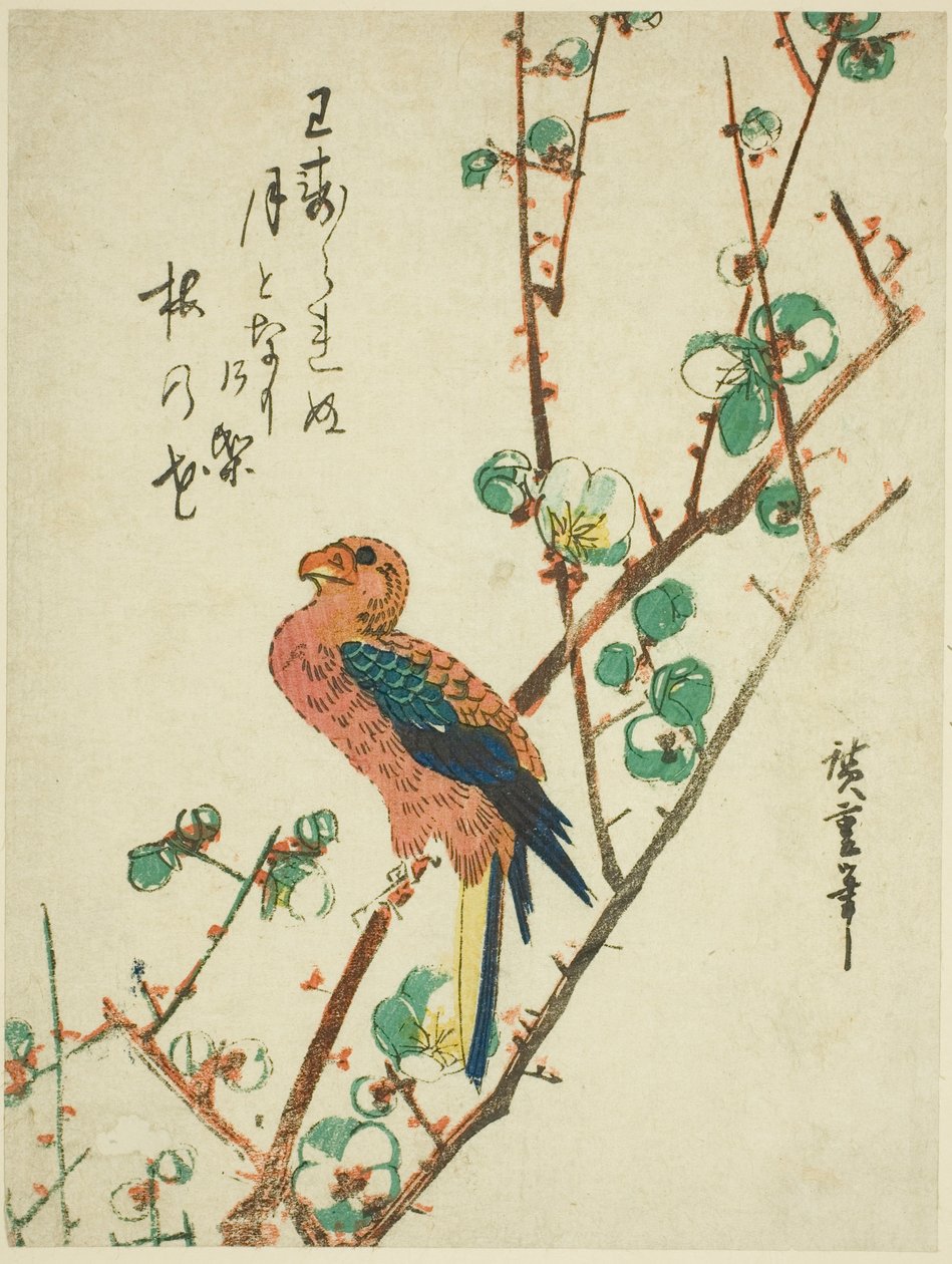 Papegoja på plommonträd av Utagawa Hiroshige