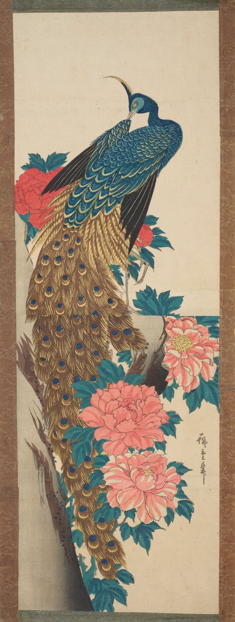 Påfågel och pionblommor / Botan ni kujaku av Utagawa Hiroshige