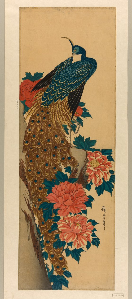Påfågel och pioner av Utagawa Hiroshige