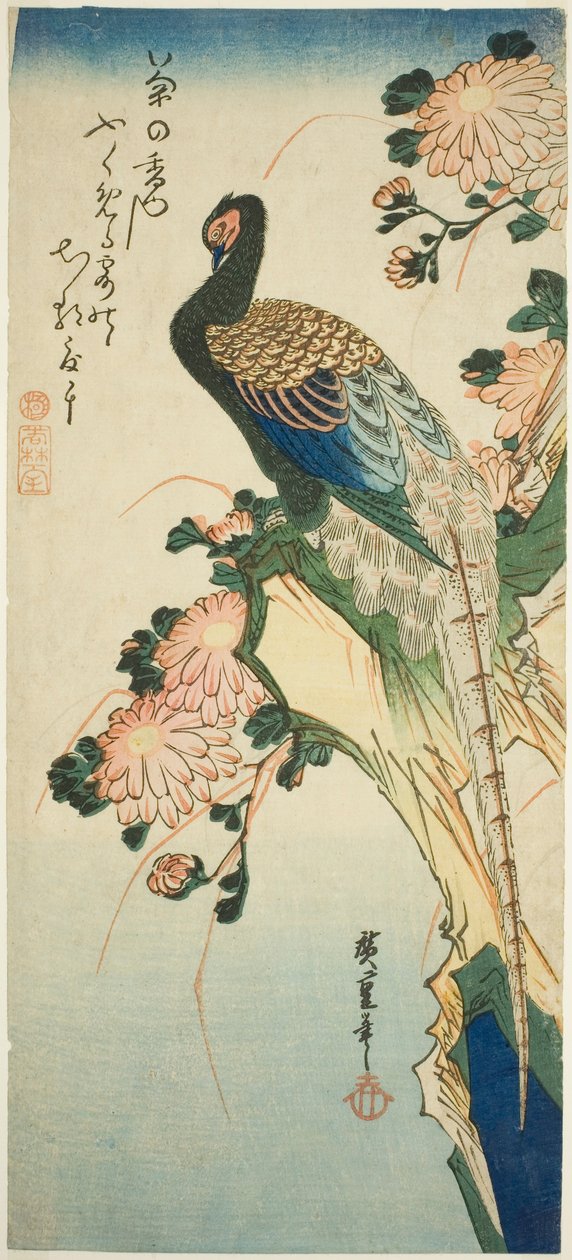 Fasan och krysantemum av Utagawa Hiroshige
