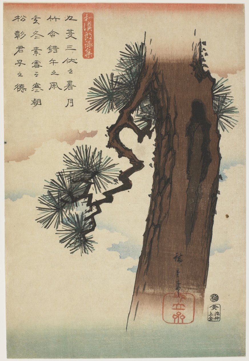Pine Tree, 1837-1844 (färgtryck) av Utagawa Hiroshige