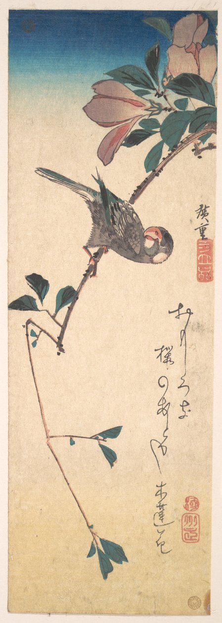Purpurmagnolie und Hornvogel av Utagawa Hiroshige
