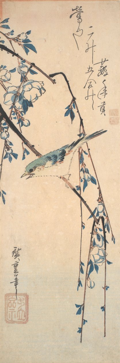 Rödflankerad blåsvans på en körsbärsgren av Utagawa Hiroshige