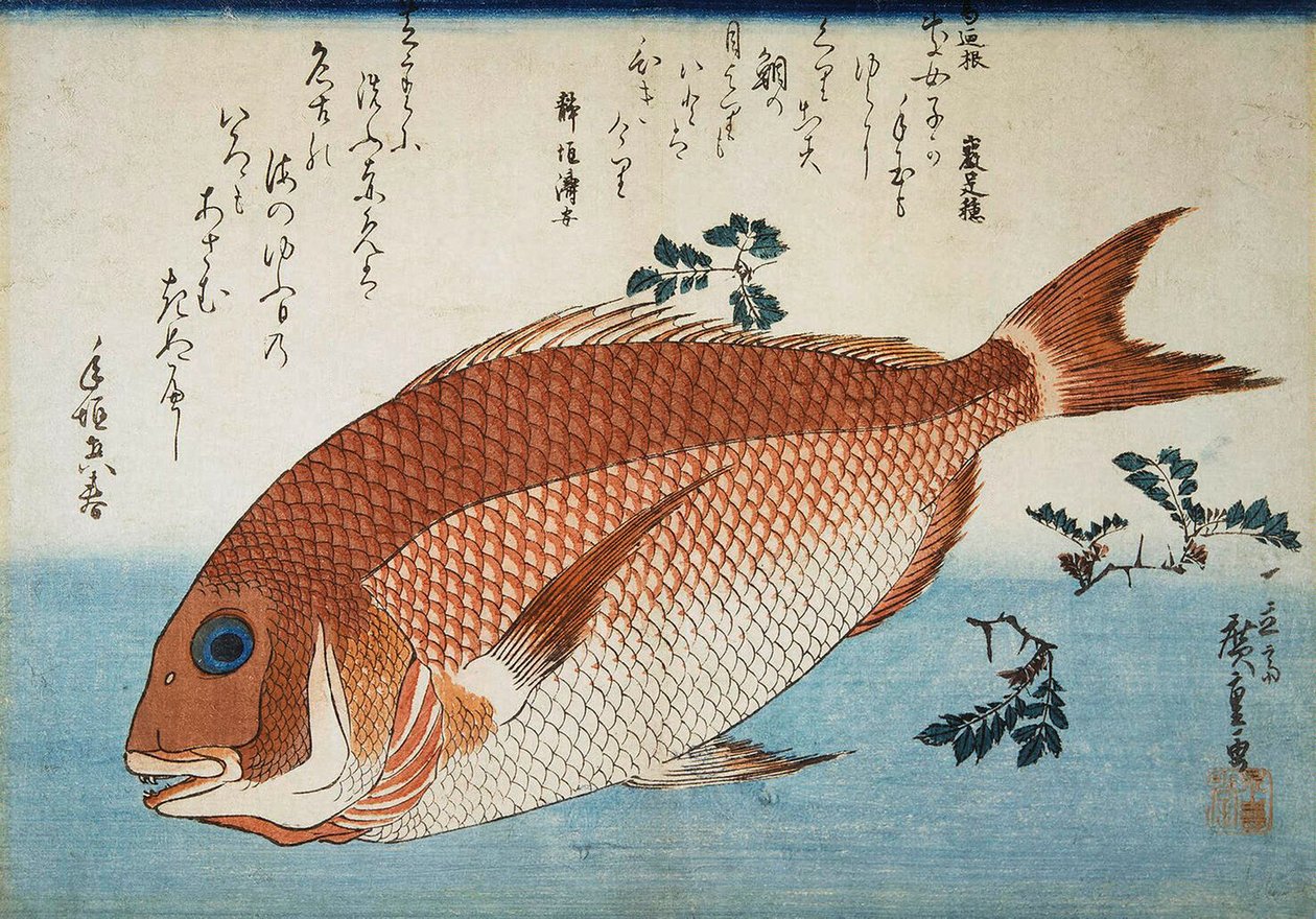 Röda havsbraxen, 1832-1834. av Utagawa Hiroshige