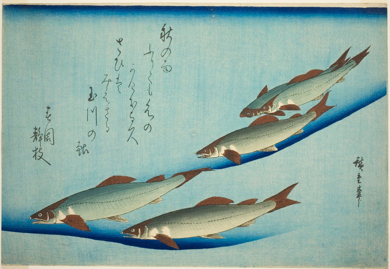 Flodöring av Utagawa Hiroshige